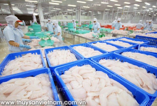 Projekt zur nachhaltigen Lieferung von Pangasius in Vietnam - ảnh 1